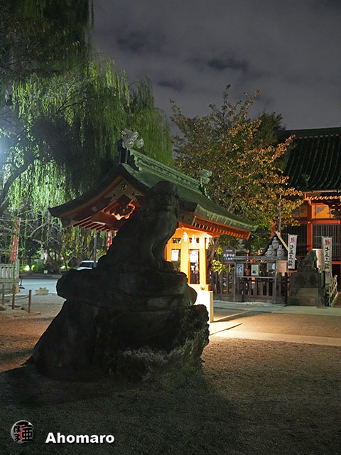 写真00