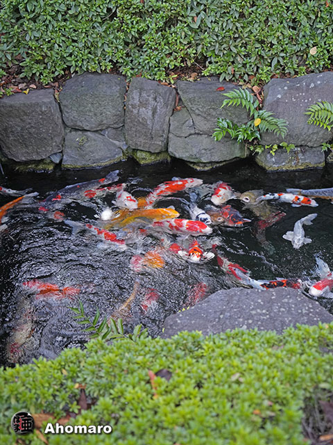写真00