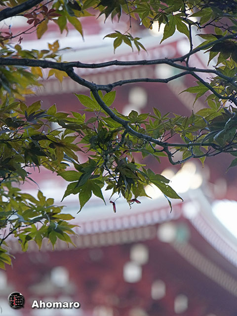 写真00