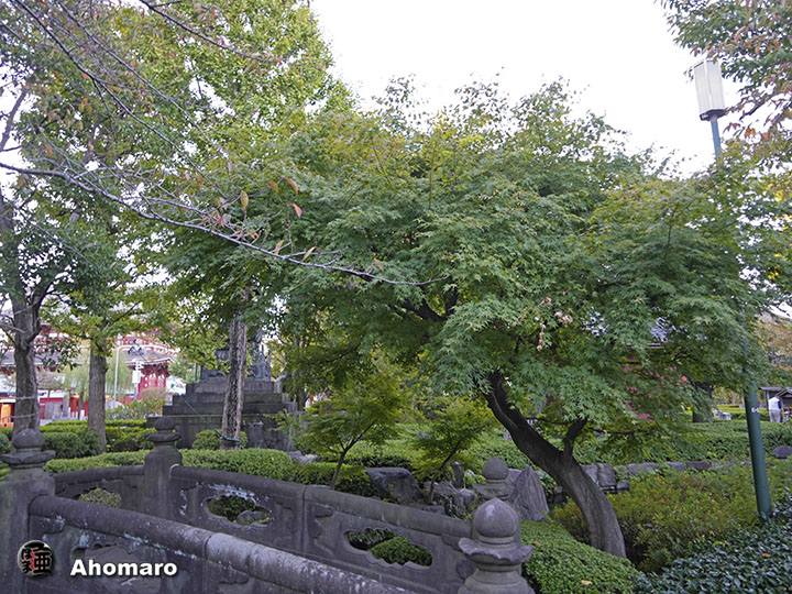 写真00