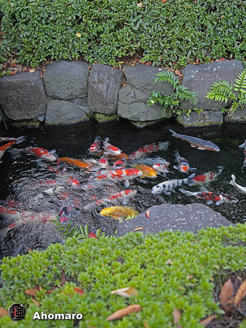 写真00