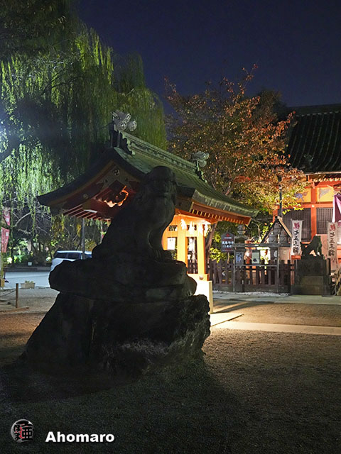 写真00