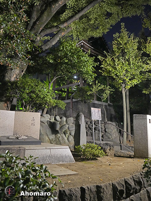 写真00