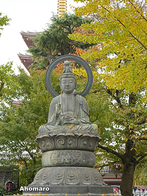 写真00