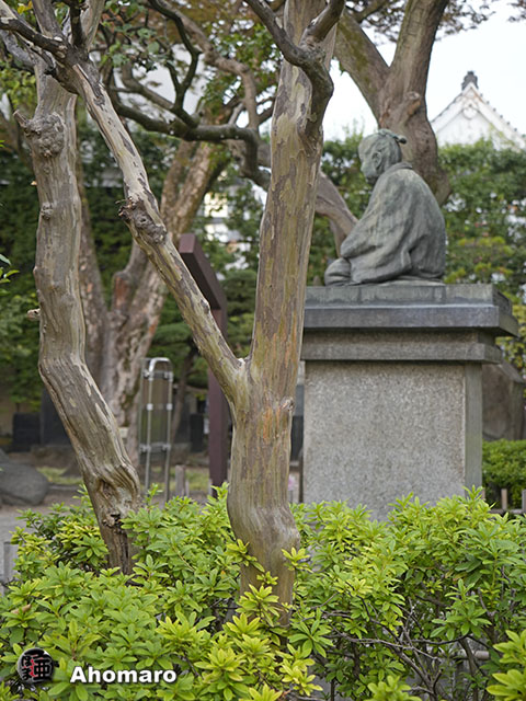 写真00