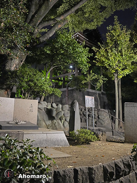 写真00
