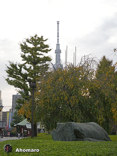写真00