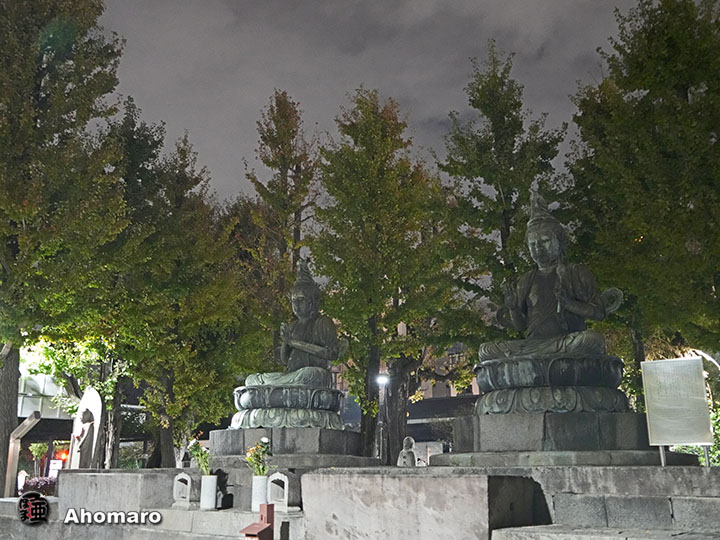 写真00
