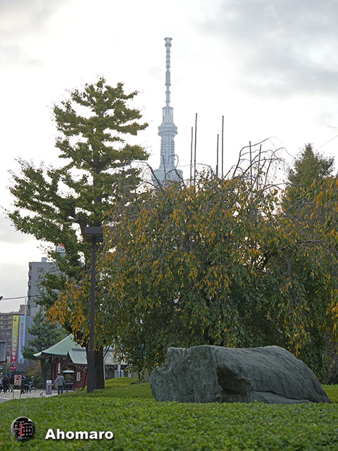 写真00