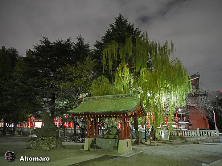 写真00