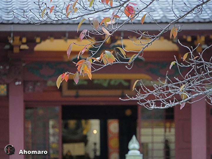 写真00