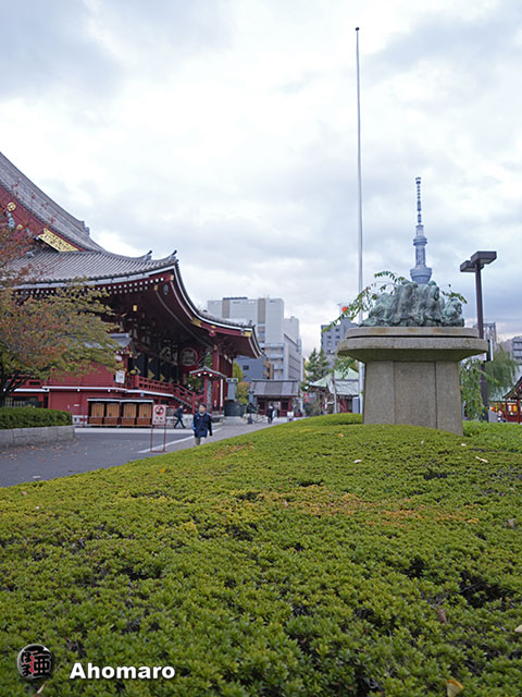 写真00