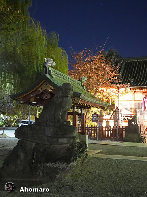 写真00