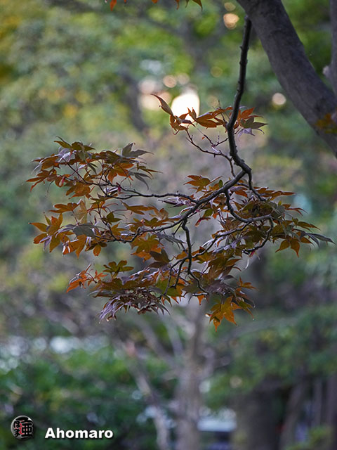 写真00