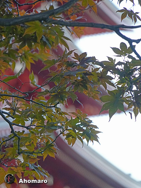 写真00