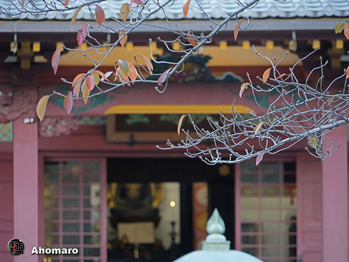 写真00
