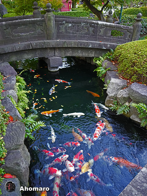 写真00