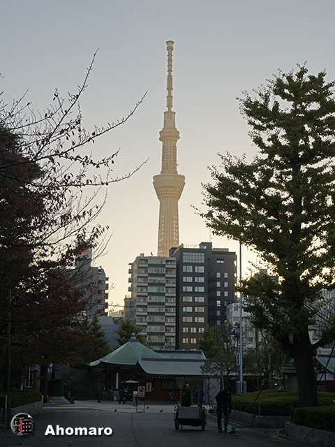 写真00