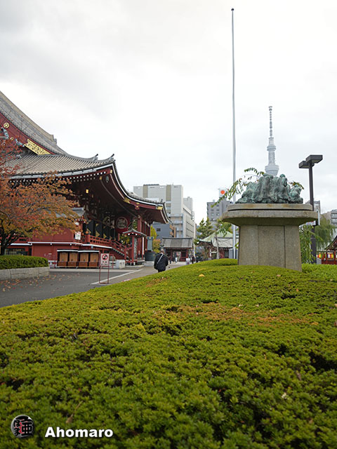 写真00