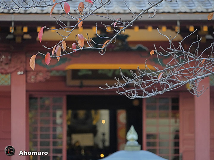 写真00