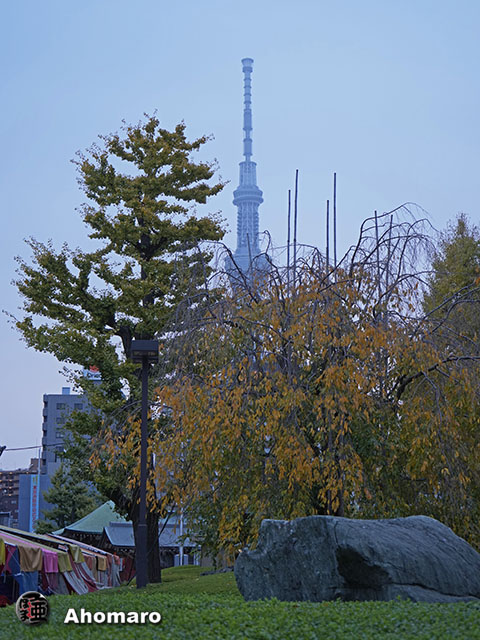 写真00