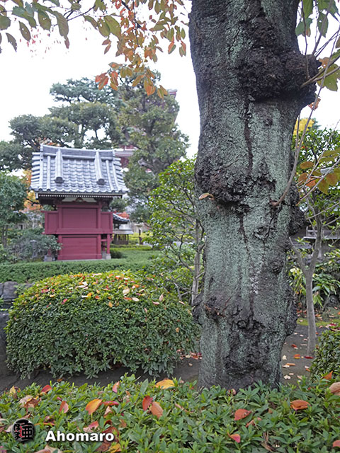 写真00