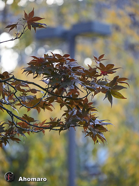 写真00