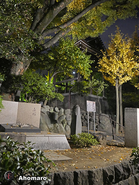 写真00