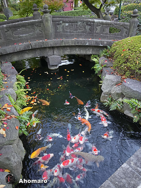 写真00