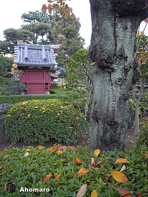 写真00
