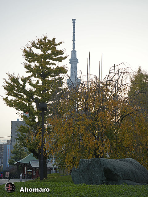 写真00