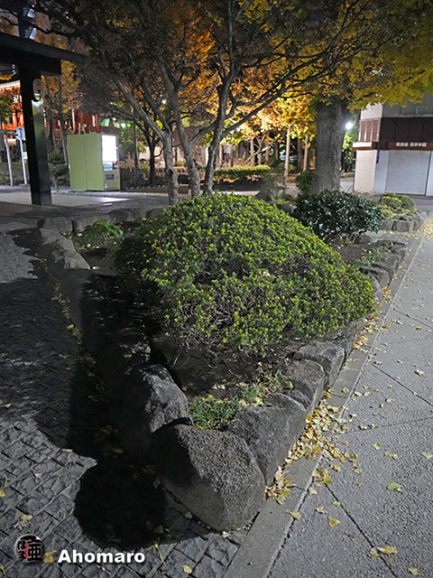 写真00