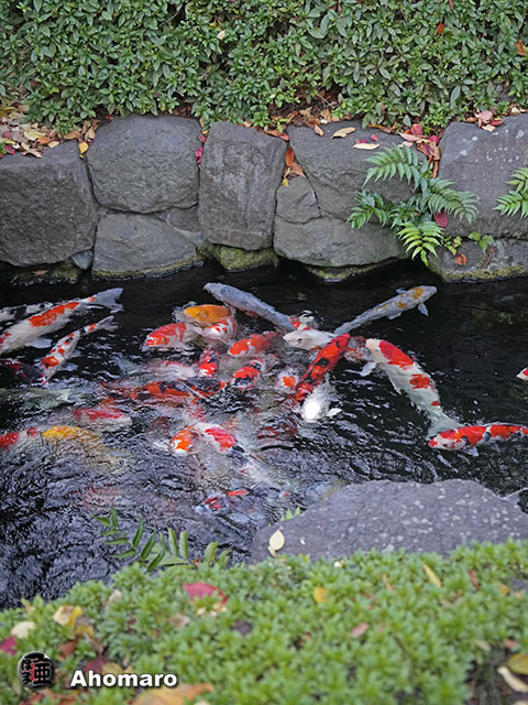 写真00