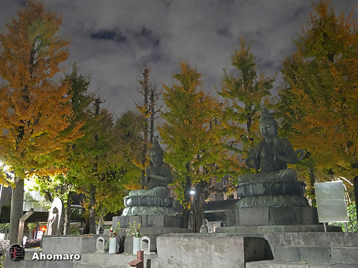 写真00