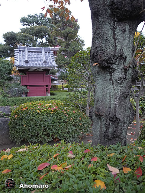 写真00