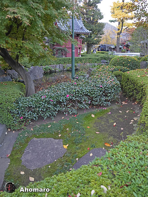 写真00