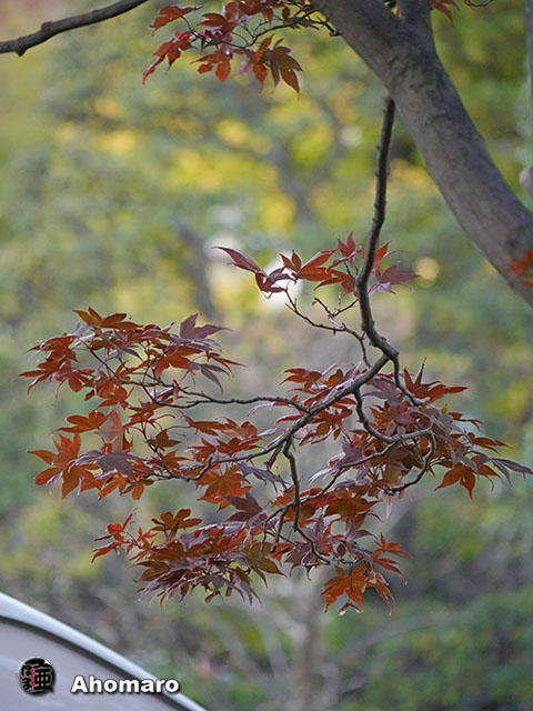 写真00