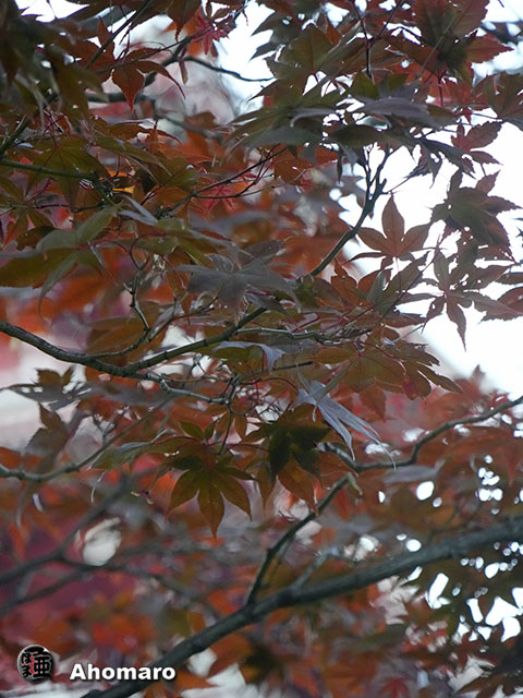 写真00