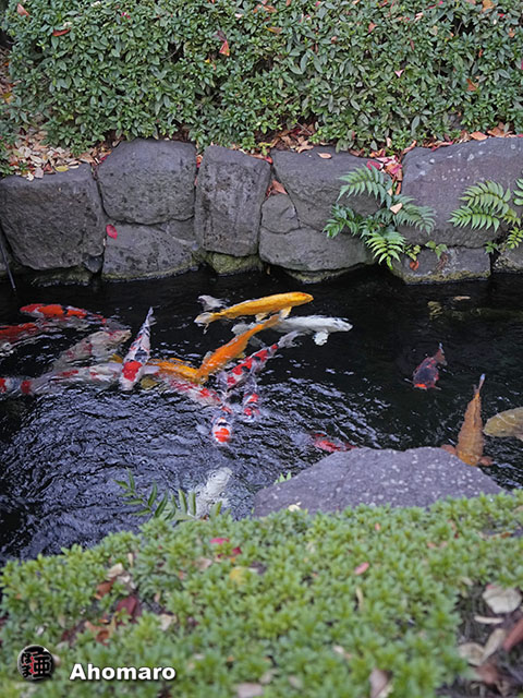 写真00