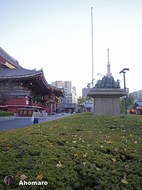 写真00