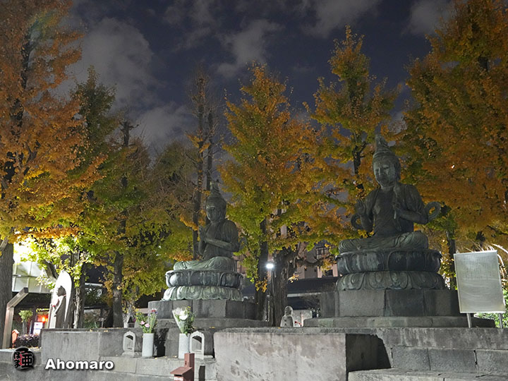 写真00