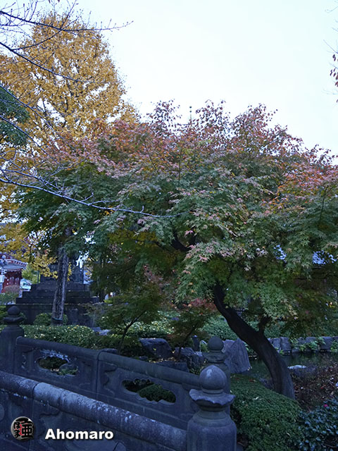 写真00