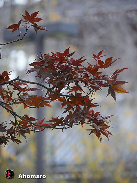 写真00