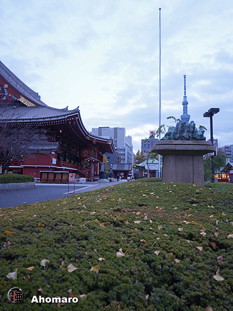 写真00