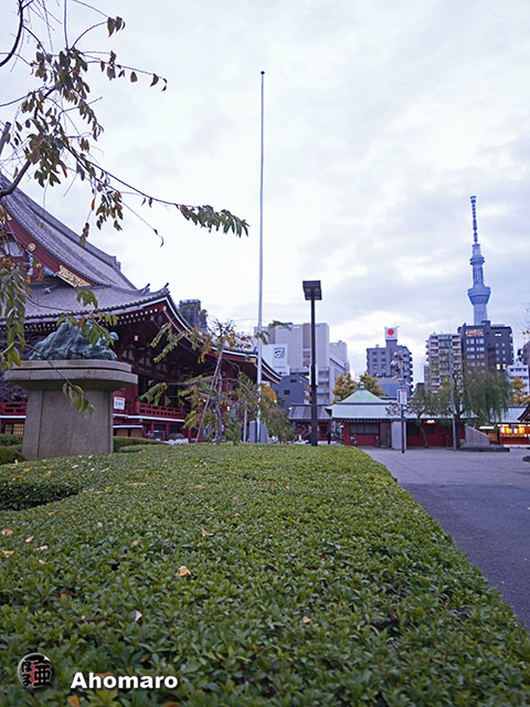 写真00