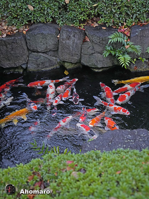 写真00
