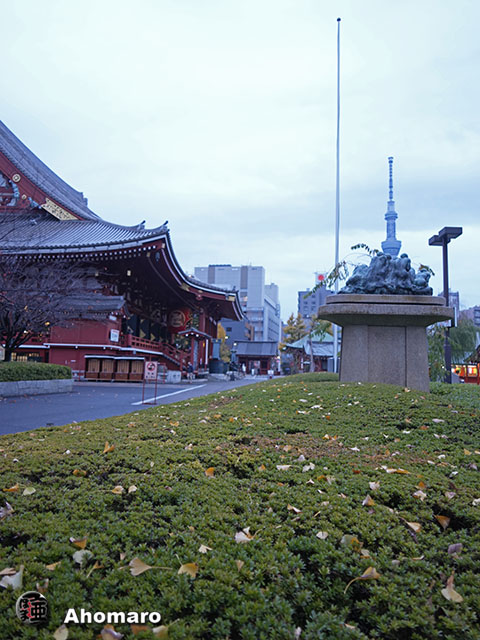 写真00