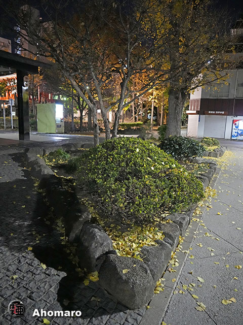 写真00