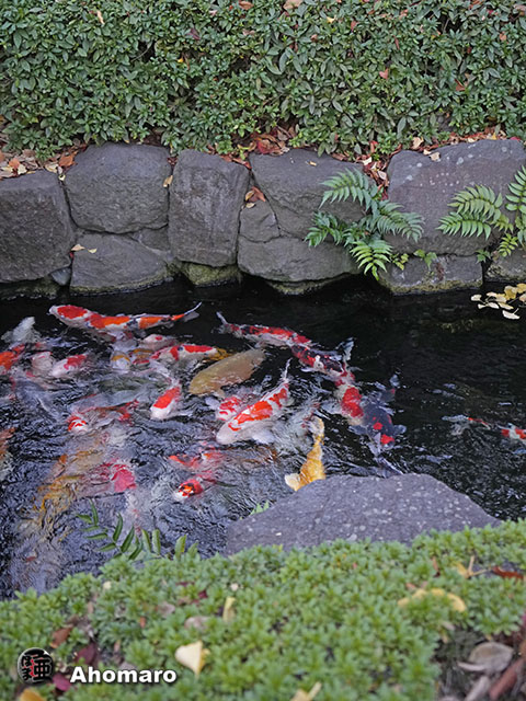 写真00