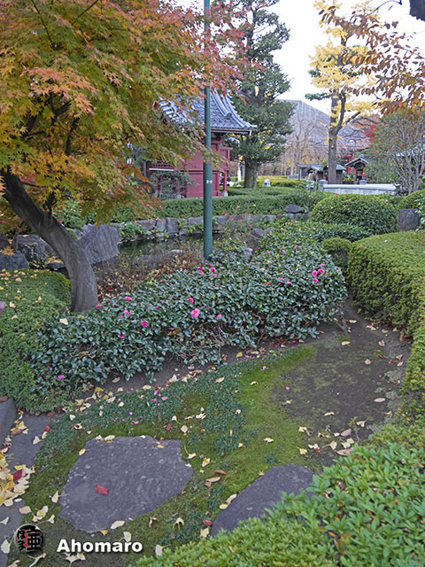 写真00
